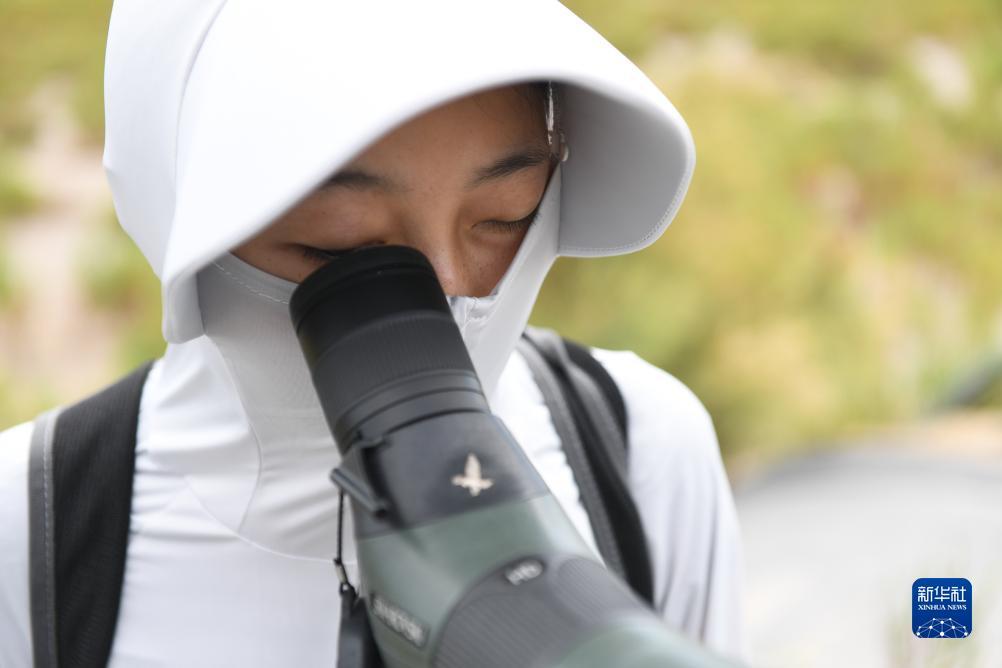 百富论坛白菜
